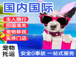 吉安井冈山国际宠物托运 【国